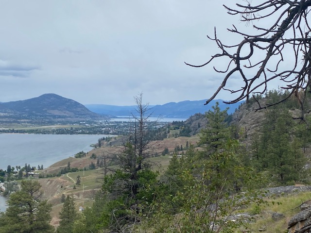 Laurentian University