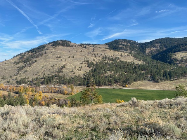 With Regard to Dignity